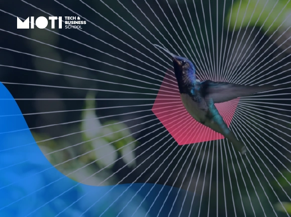 SAM 2 El nuevo modelo de Meta que redefinirá la visión artificial