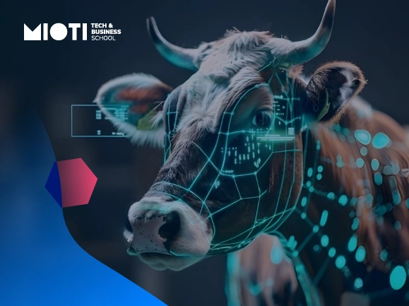 Futuro ganadero: revolucionando el sector con Inteligencia Artificial